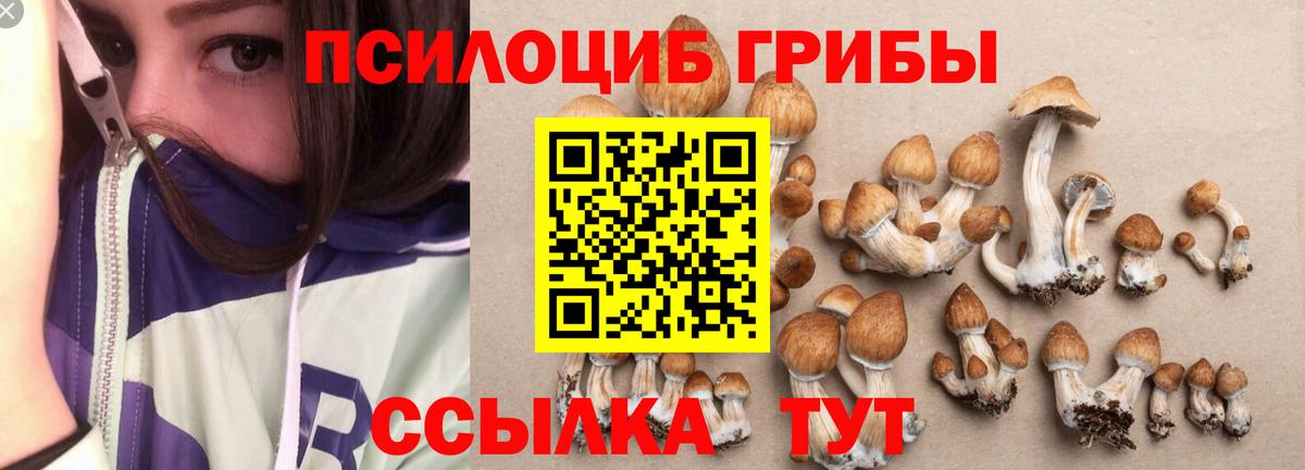 Галлюциногенные грибы Magic Shrooms Каменск-Шахтинский